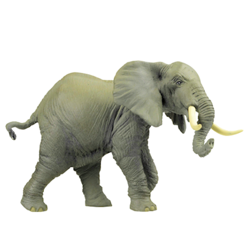 elefant_104.png