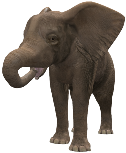 elefant_107.png
