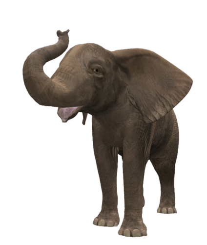 elefant_114.png