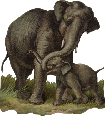 elefant_130.png
