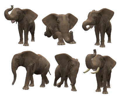 elefant_132.png