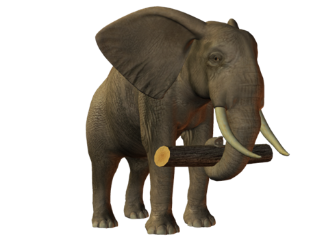 elefant_135.png