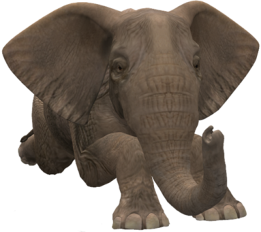 elefant_137.png