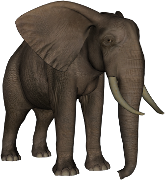 elefant_138.png