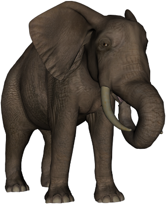 elefant_140.png