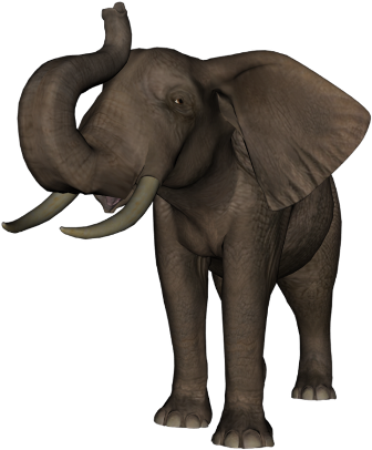elefant_141.png