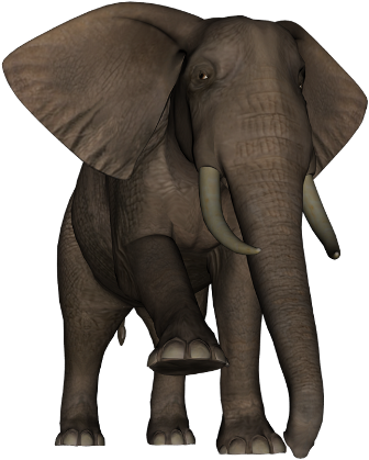 elefant_142.png