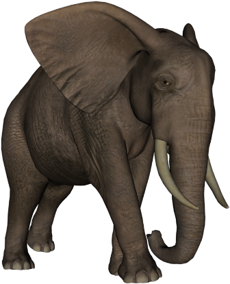 elefant_143.png