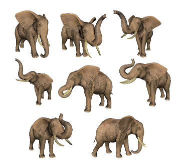 elefant_144.png