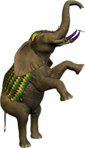 elefant_148.png