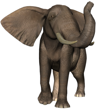 elefant_161.png