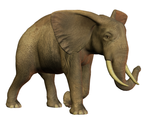 elefant_183.png