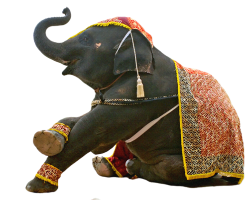 elefant_185.png