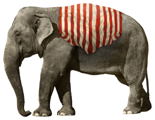 elefant_189.png