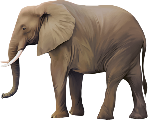elefant_190.png