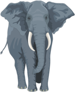 elefant_191.png