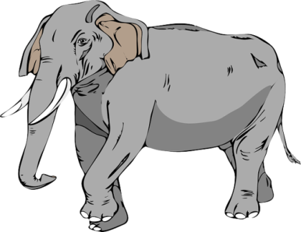 elefant_192.png
