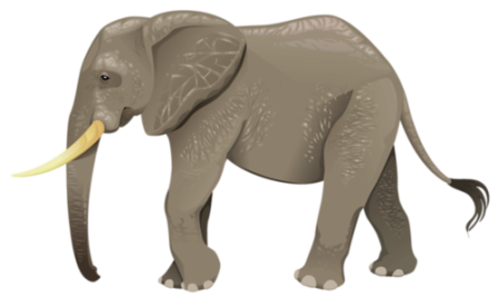 elefant_194.png