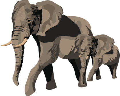 elefant_195.png