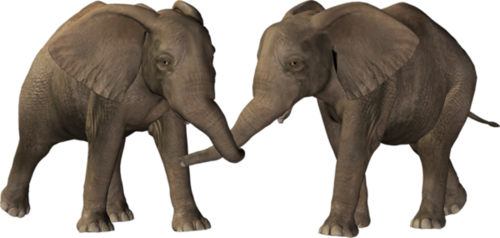 elefant_2.png