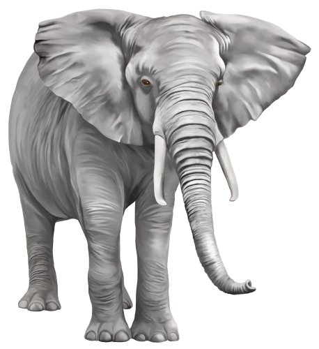 elefant_204.png