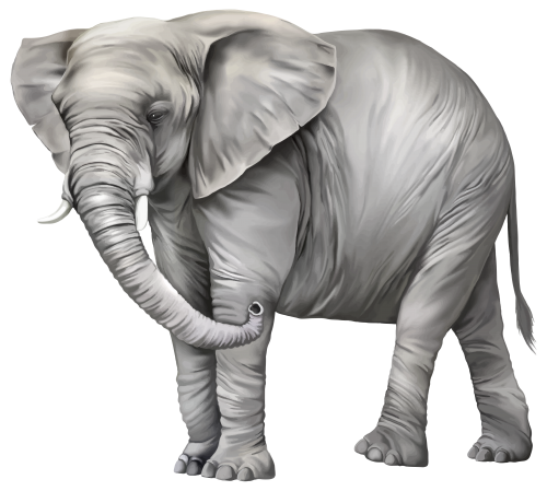 elefant_205.png