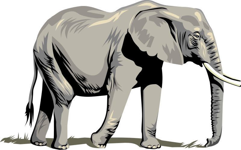 elefant_207.png