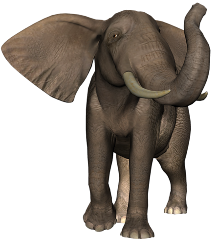 elefant_31.png