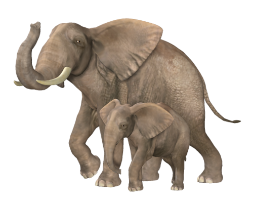 elefant_32.png