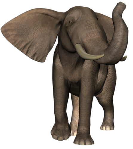 elefant_44.png