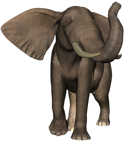 elefant_64.png