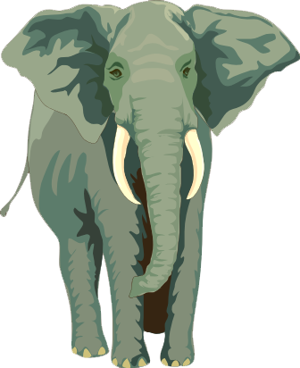 elefant_67.png
