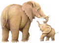 elefant_106