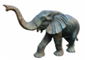 elefant_112