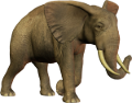 elefant_133