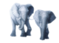 elefant_16