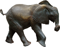 elefant_169