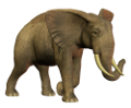 elefant_183