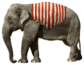 elefant_189