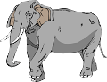 elefant_192