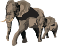 elefant_195