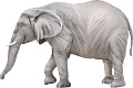 elefant_198