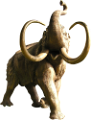 elefant_70