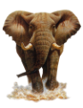 elefant_85