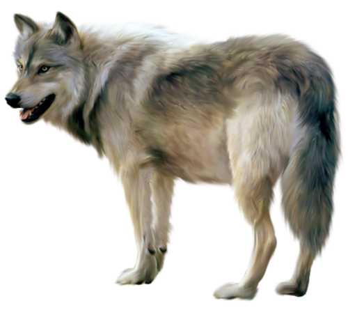 farkas_14.png