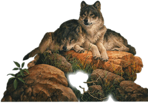 farkas_190.gif
