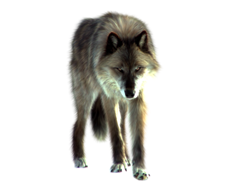 farkas_230.png