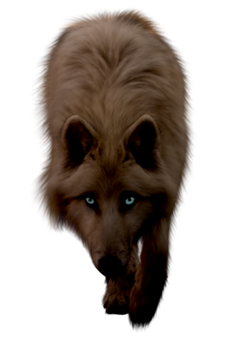 farkas_281.png