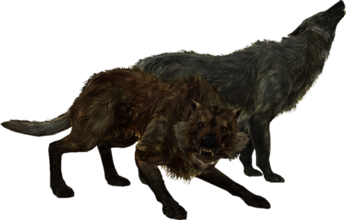 farkas_326.png