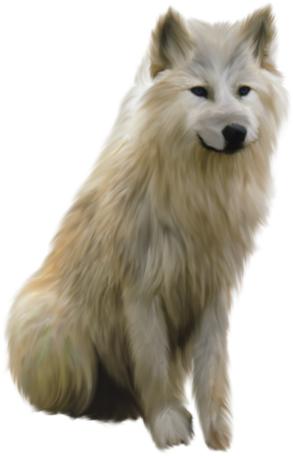 farkas_333.png